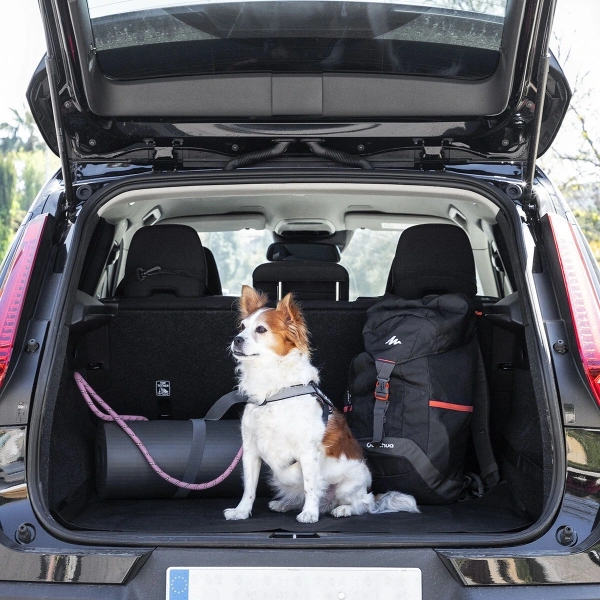 imagen de Funda Protectora de Asiento Individual de Coche para Mascotas