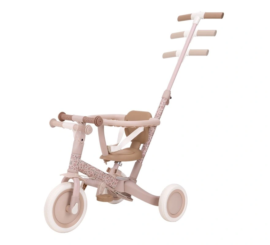 imagen de TRICICLO LITTLE DUTCH
