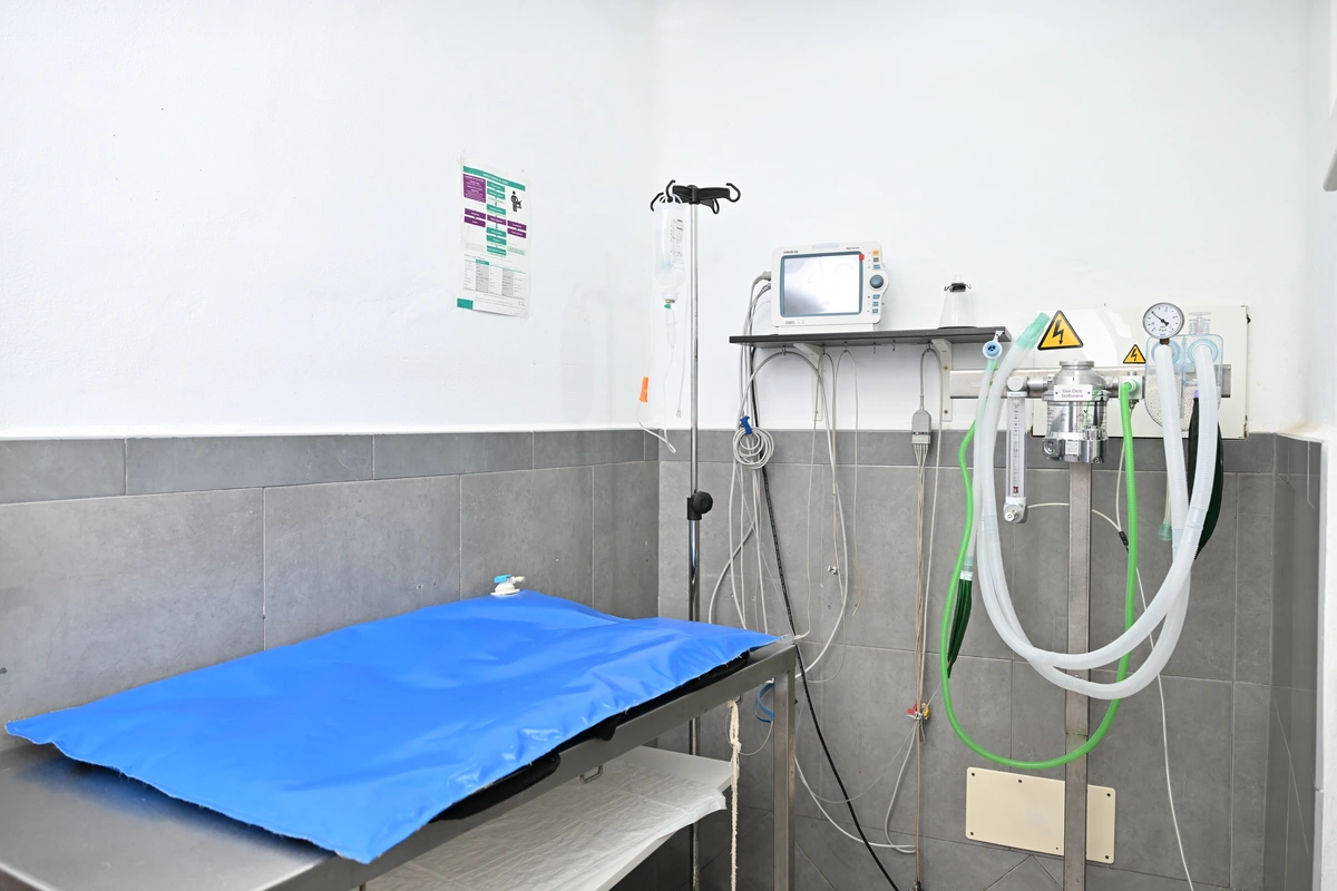 galeria de imágenes de CONSULTA VETERINARIA EL NORTE