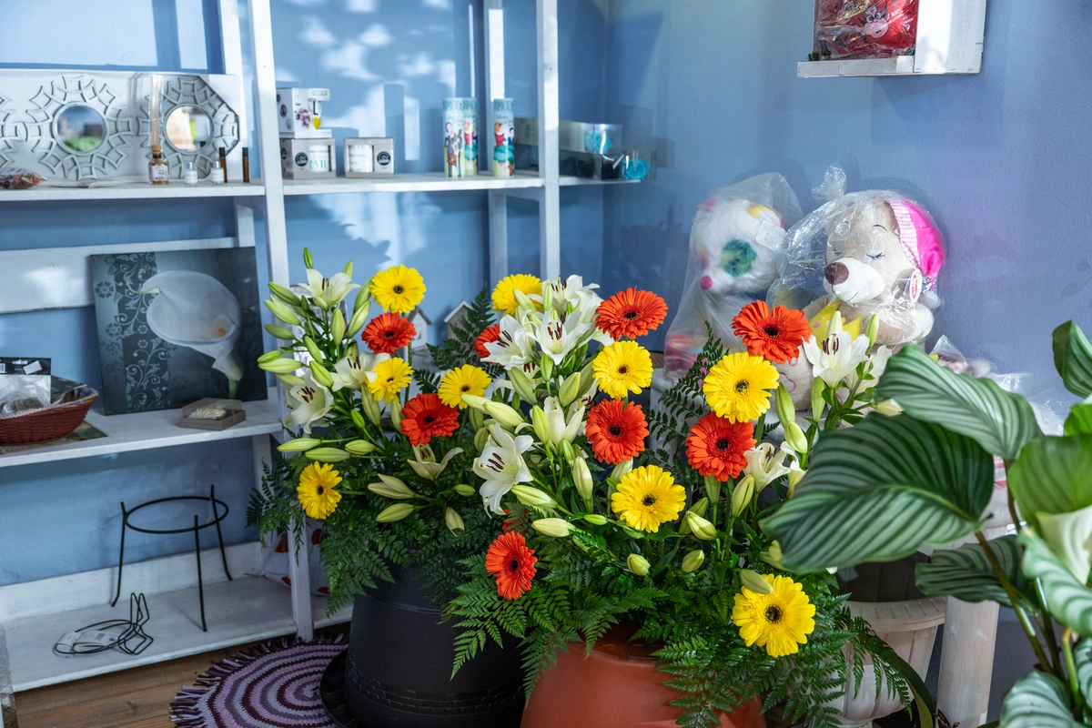 galeria de imágenes de FLORISTERIA MALOLA