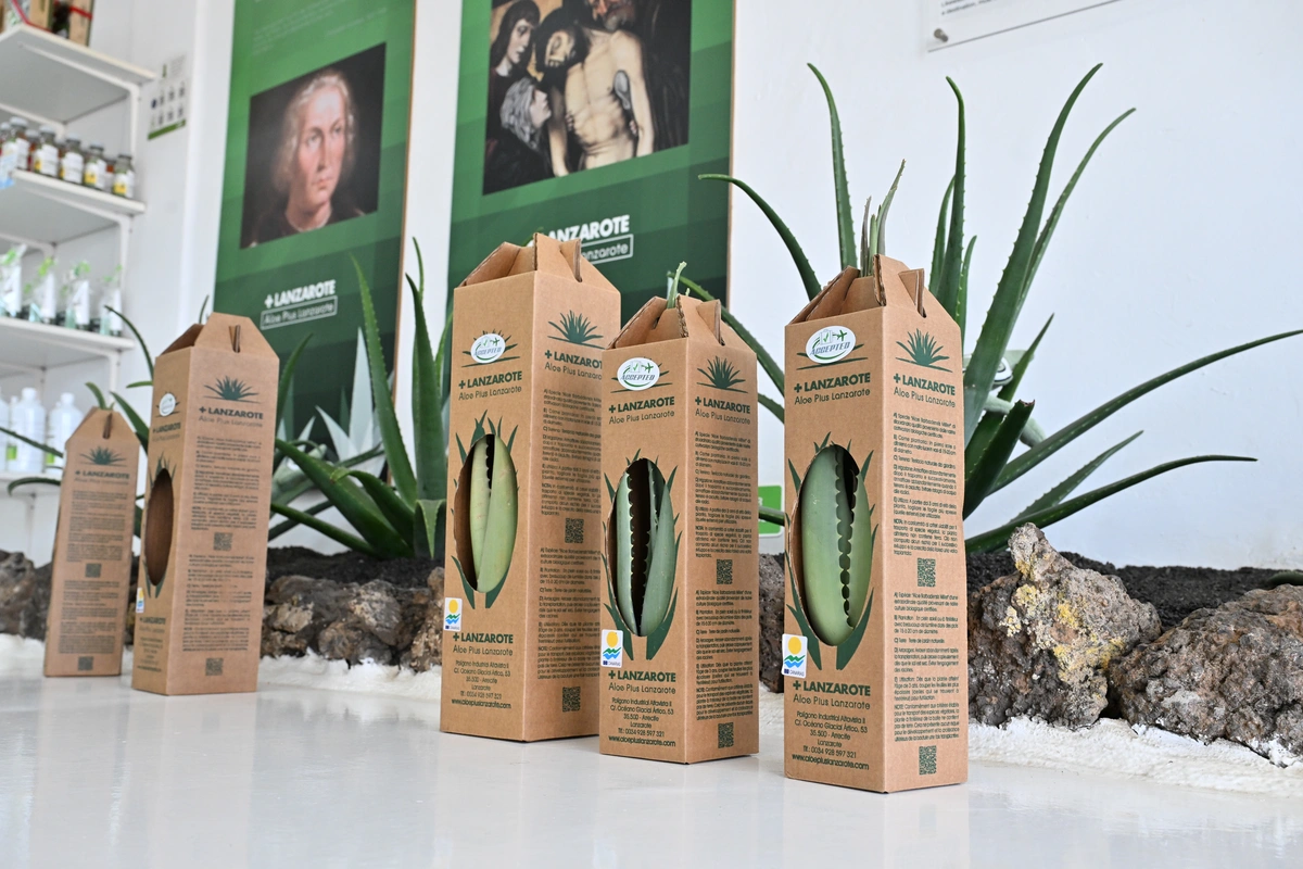 galeria de imágenes de Aloe Canarias 