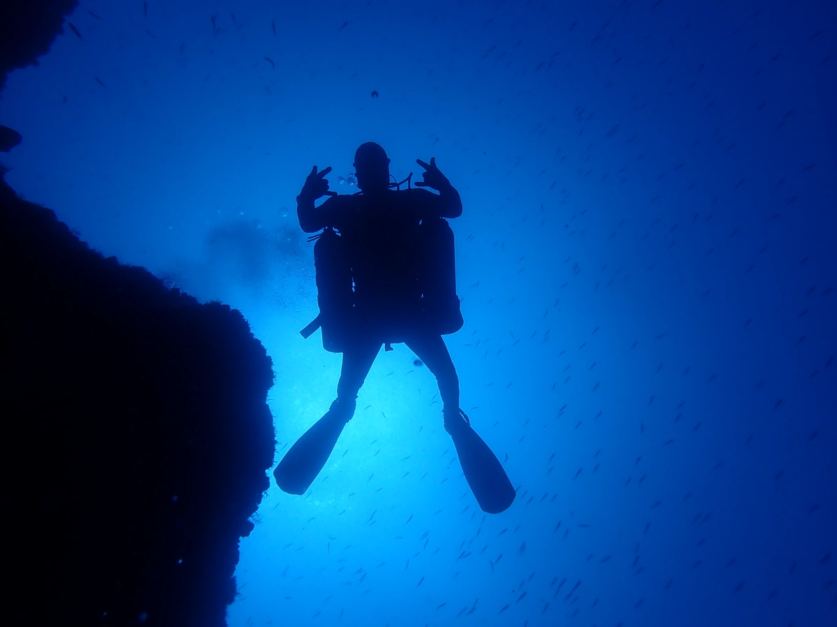galeria de imágenes de Scuba Legends Dive Center Lanzarote