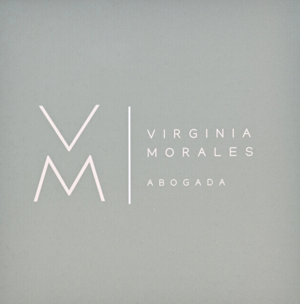 Logo VIRGINIA MORALES MARTIN