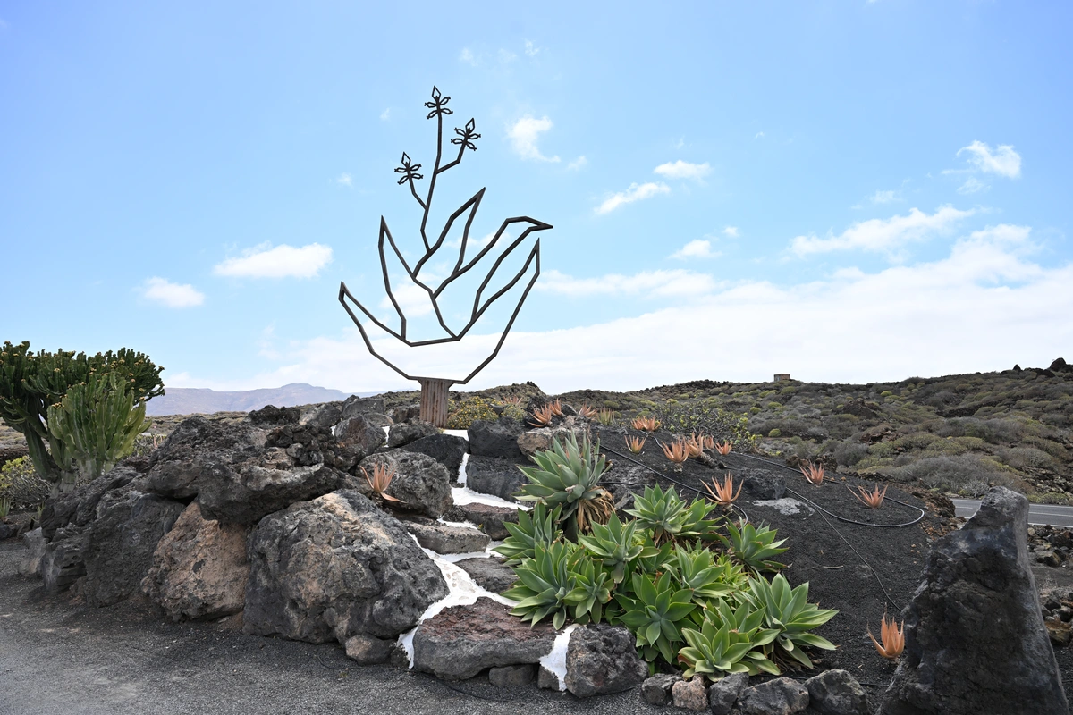 galeria de imágenes de Aloe Canarias 