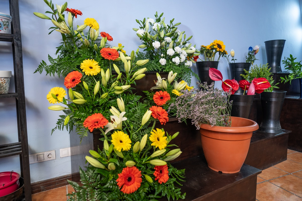 galeria de imágenes de FLORISTERIA MALOLA