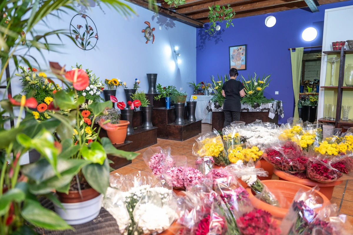 galeria de imágenes de FLORISTERIA MALOLA