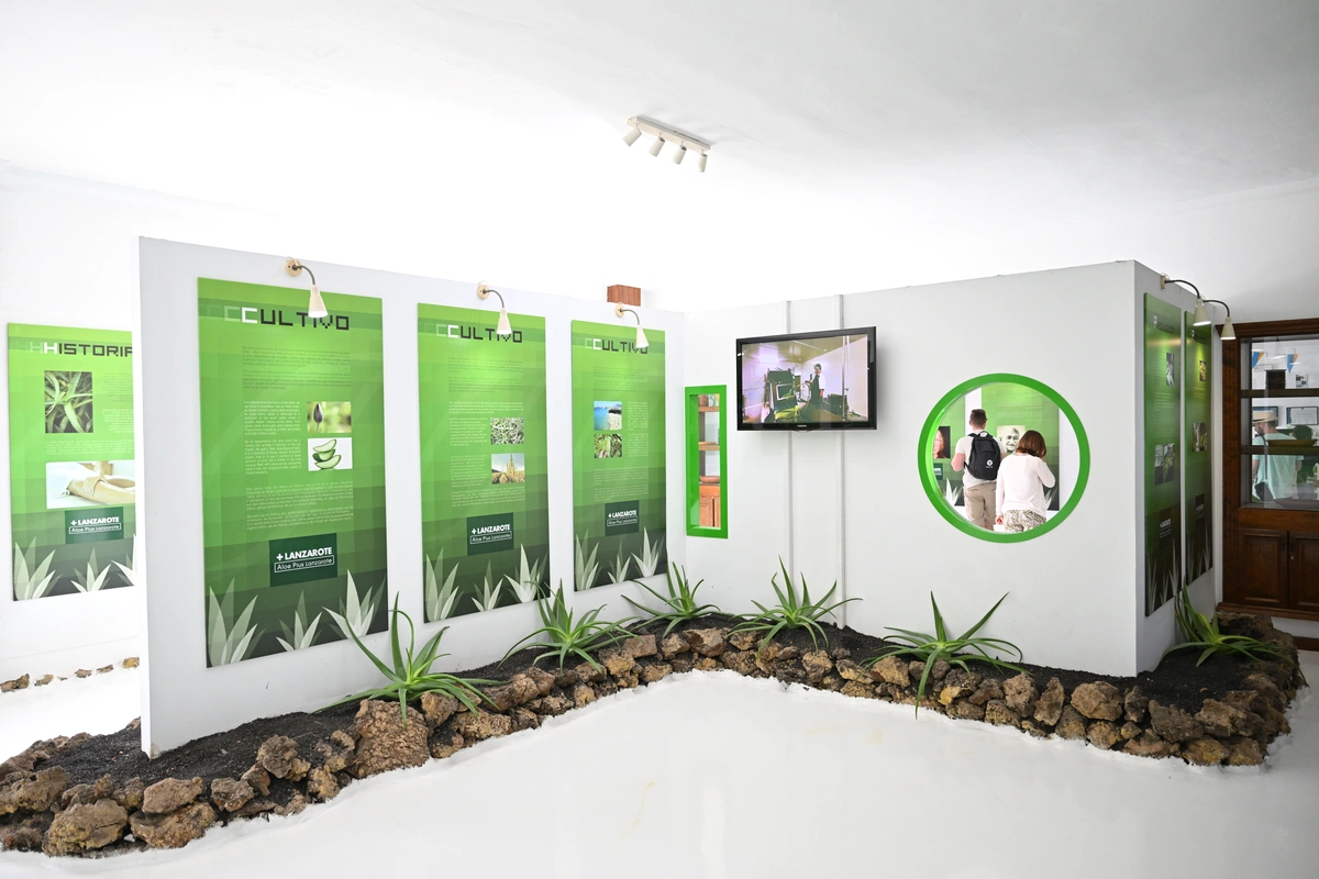 galeria de imágenes de Aloe Canarias 