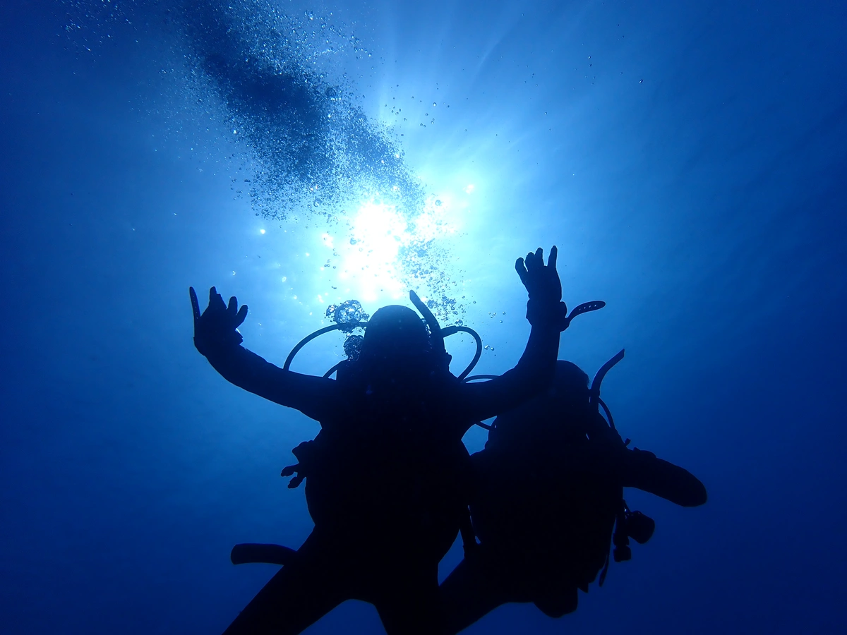galeria de imágenes de Scuba Legends Dive Center Lanzarote