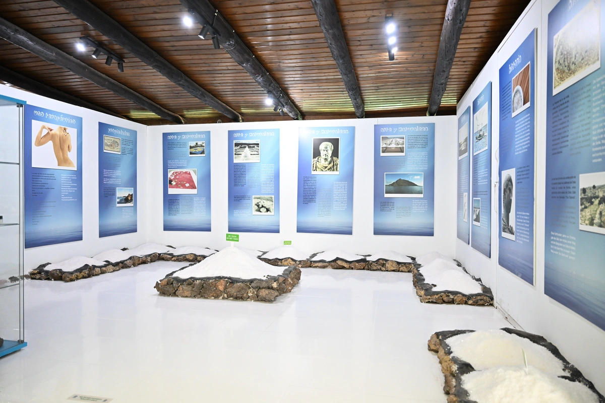 galeria de imágenes de Aloe Canarias 