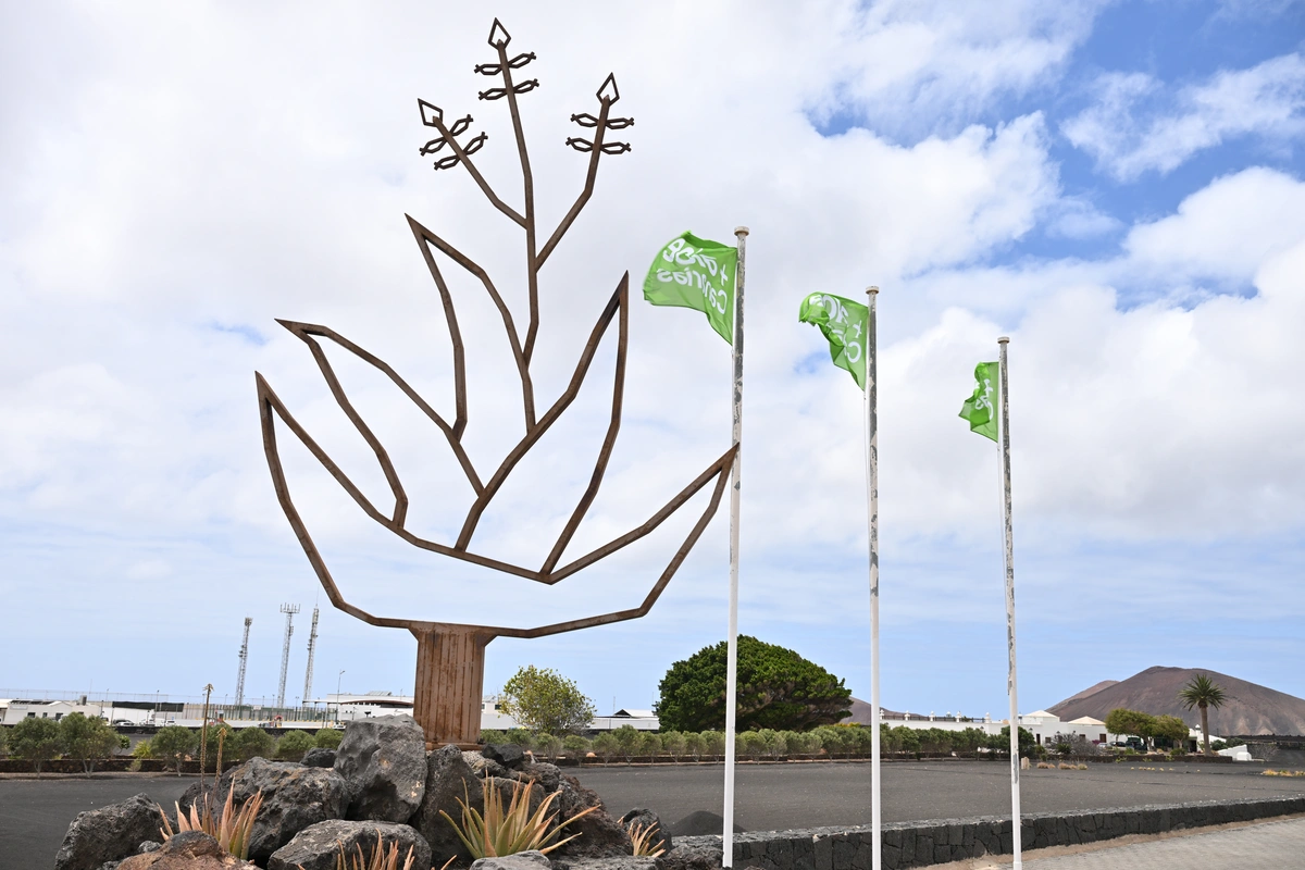 galeria de imágenes de Aloe Canarias 