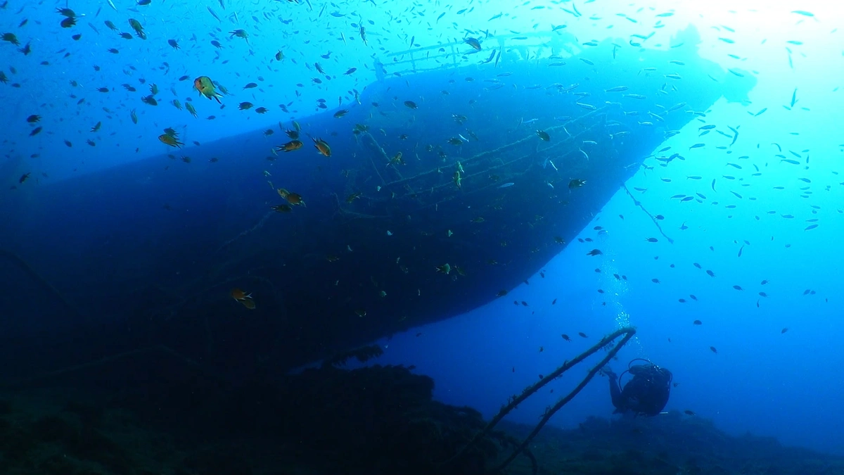galeria de imágenes de Scuba Legends Dive Center Lanzarote