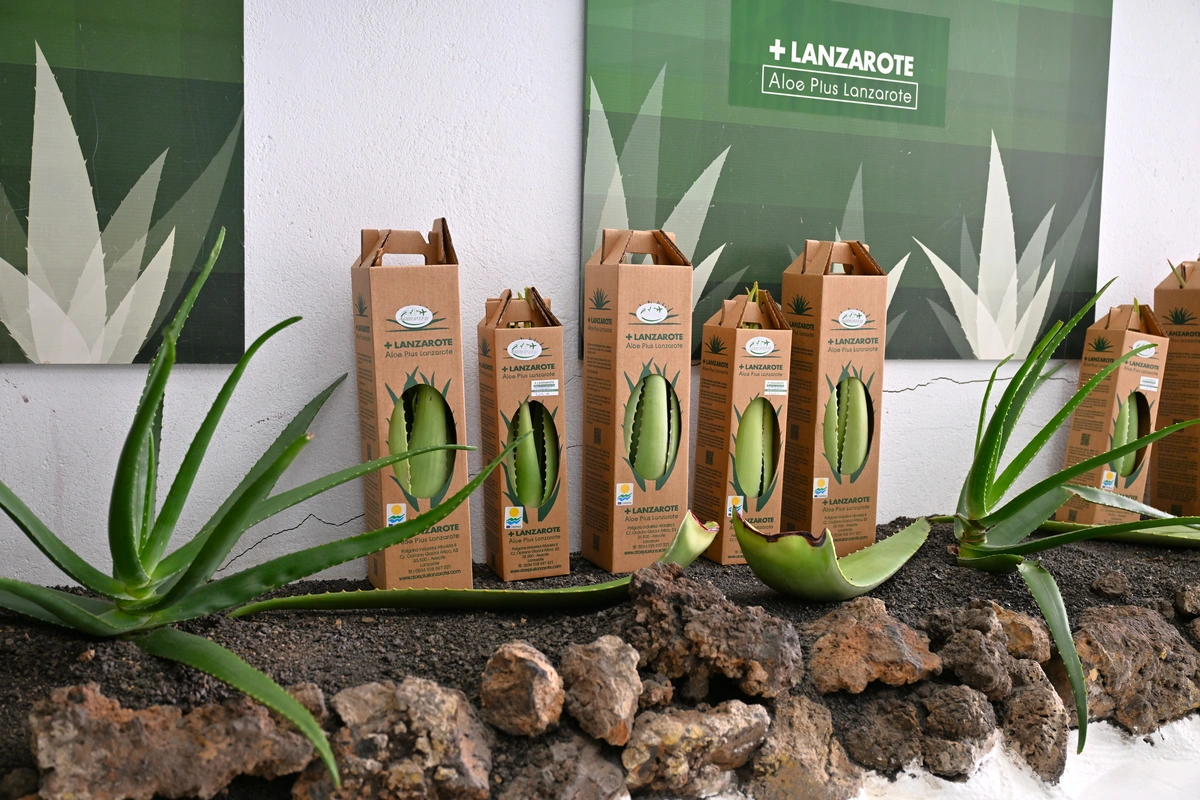 galeria de imágenes de Aloe Canarias 