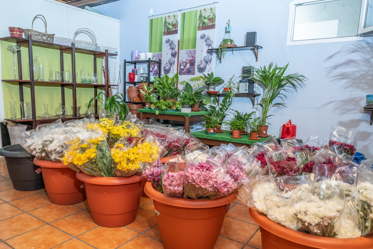 galeria de imágenes de FLORISTERIA MALOLA
