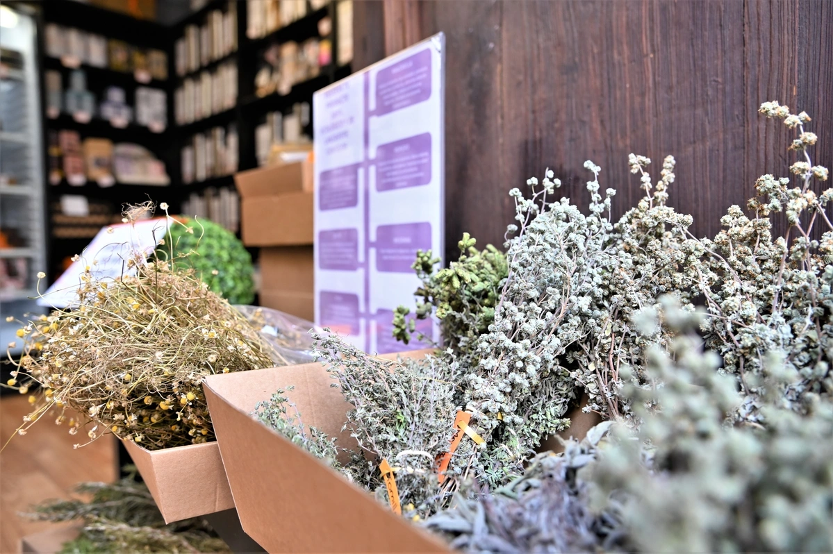 galeria de imágenes de Theobroma, Pócimas y Cacao