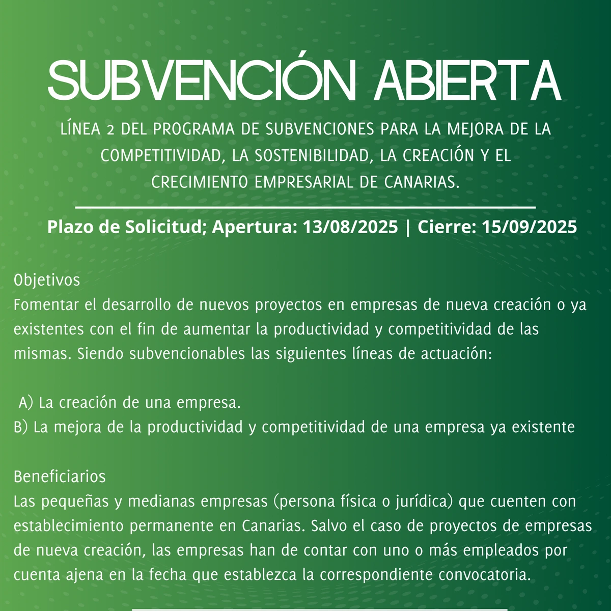 Línea 2 del programa de Subvenciones para la Mejora de la Competitividad, la Sostenibilidad, la Creación y el Crecimiento Empresarial de Canarias.