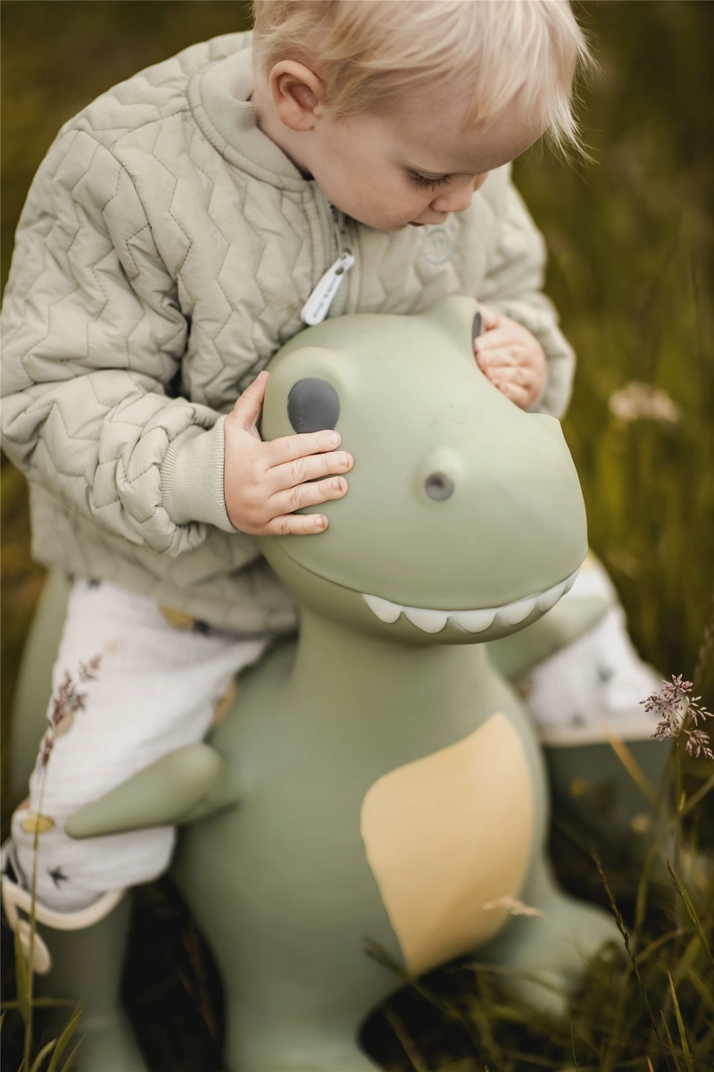 Imagen de: ANIMAL SALTARIN HIPPO - DINOSAURIO 