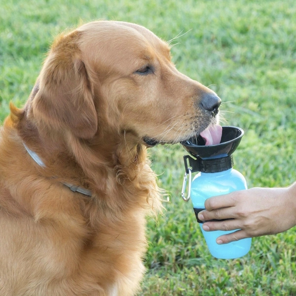 Imagen de: Botella Bebedero de Agua para Perros 